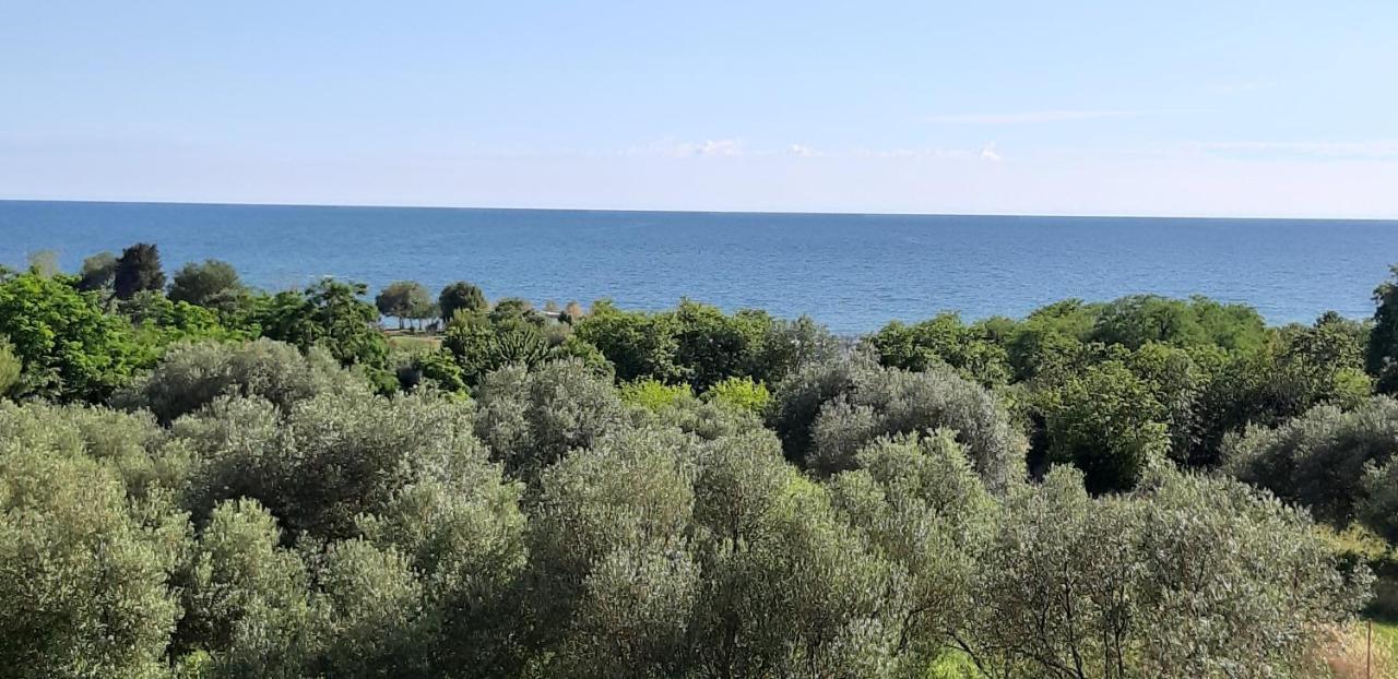 Apartment Istria Zambratija  Exterior photo